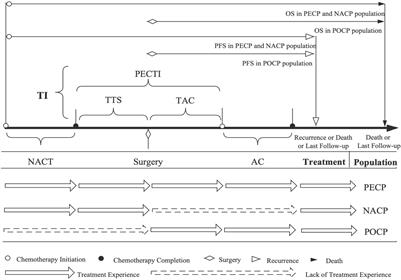 The significance of time interval between perioperative SOX/XELOX chemotherapy and clinical decision model in gastric cancer